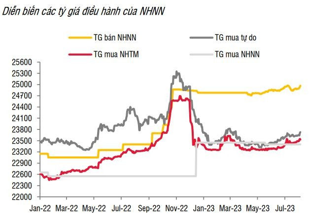 Nguồn cung ngoại tệ tích cực kỳ vọng sẽ giúp tỷ giá VND/USD ổn định về cuối năm