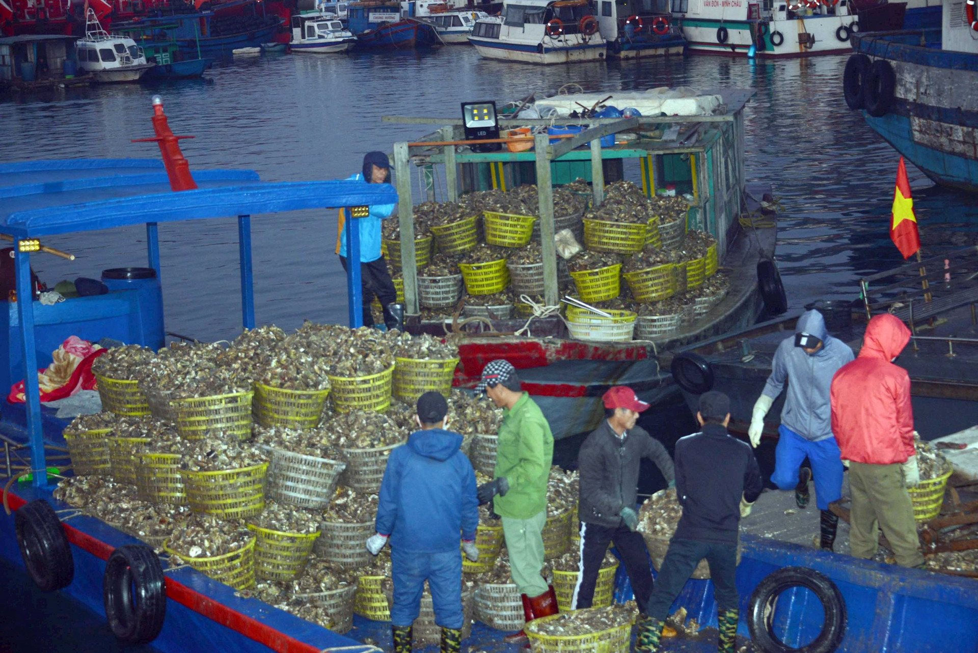 bai-thuy-san-quang-ninh.jpg