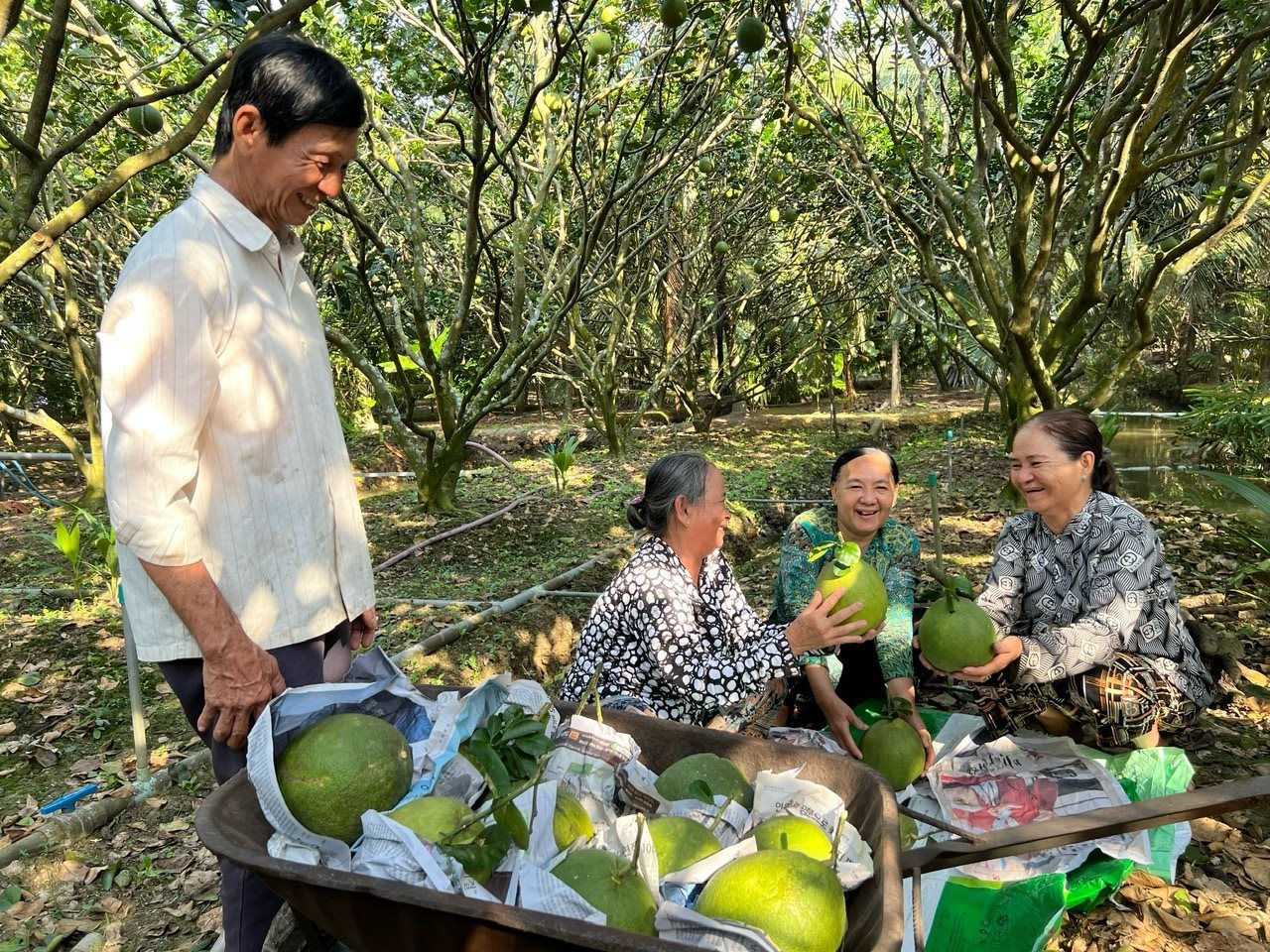 phan-bon-ca-mau-dong-hanh-cung-ba-con-mang-lai-nhung-vu-mua-thang-lon.jpg