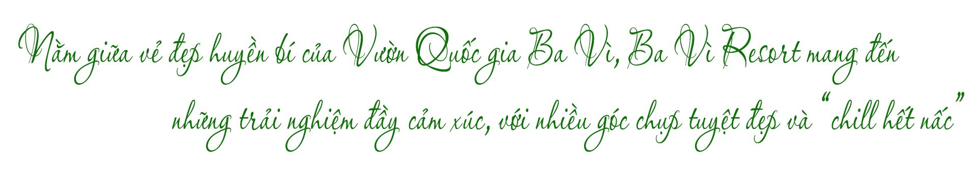 tieu-de-phu-1-sua-.png