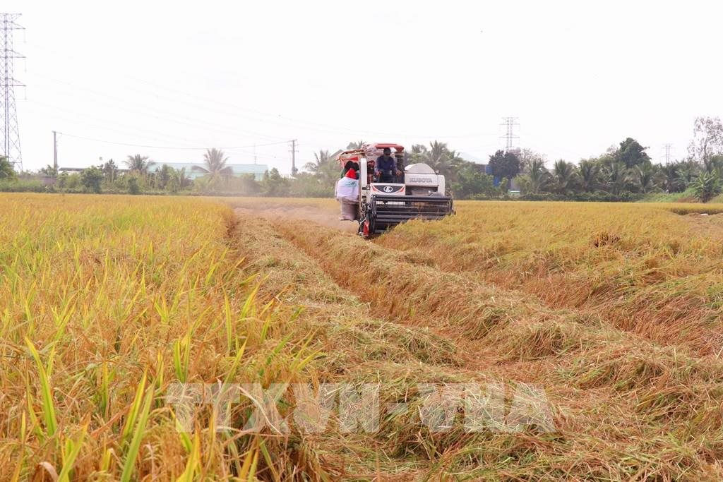 an-ninh-luong-thuc.jpg