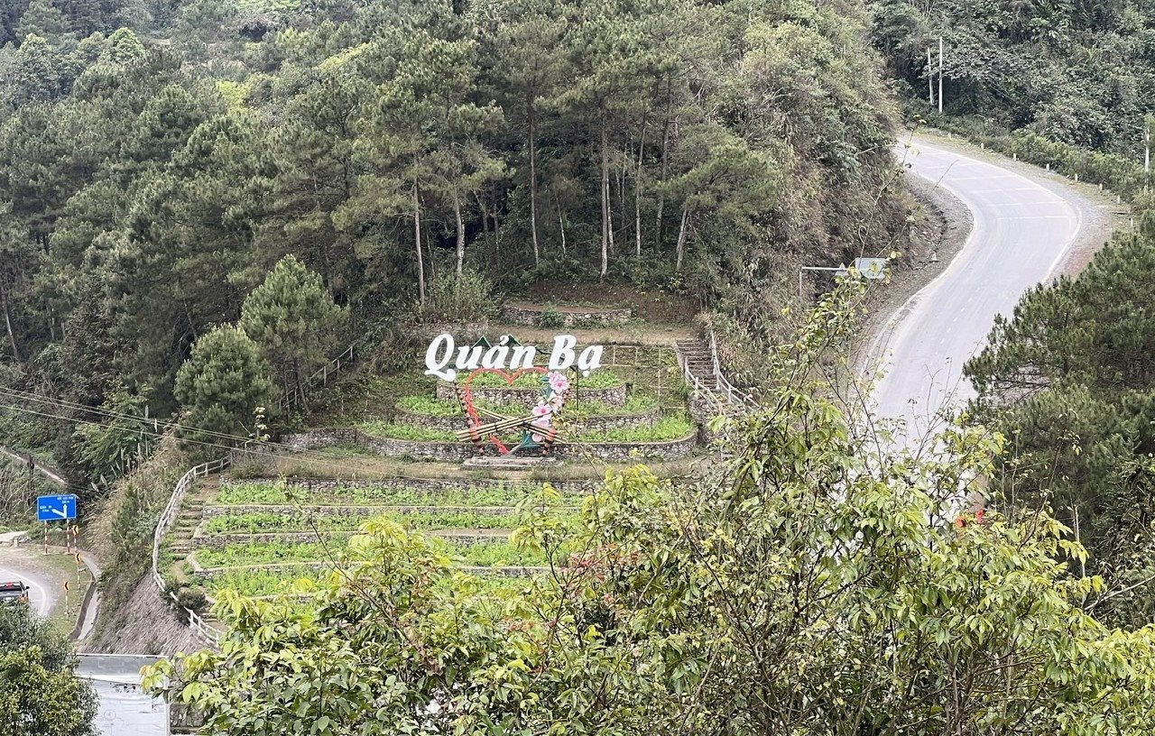quan-ba(1).jpg