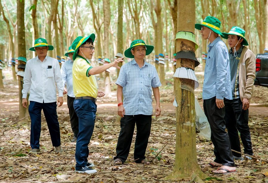 chuyen-gia-cua-pvcfc-tu-van-huong-dan-ba-con-campuchia-cach-su-dung-san-pham-hieu-qua.jpg