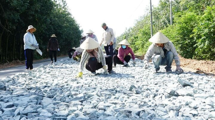 duong-giao-thong-tay-ninh-15114909.jpeg