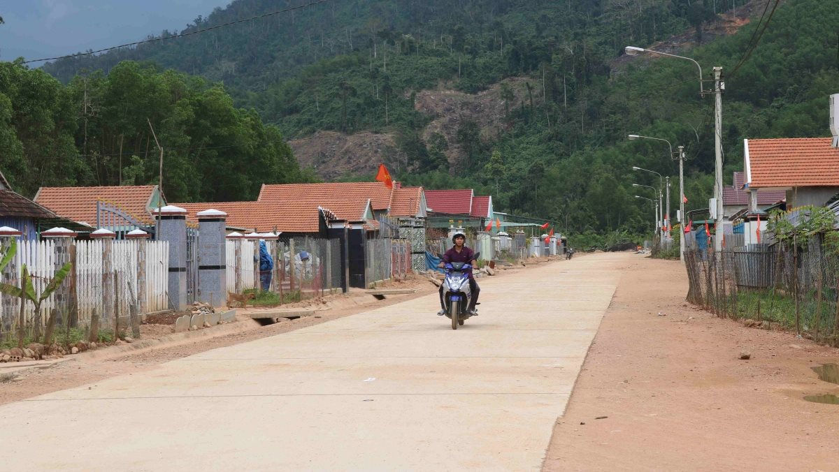 ctmtqg-binh-dinh.jpg