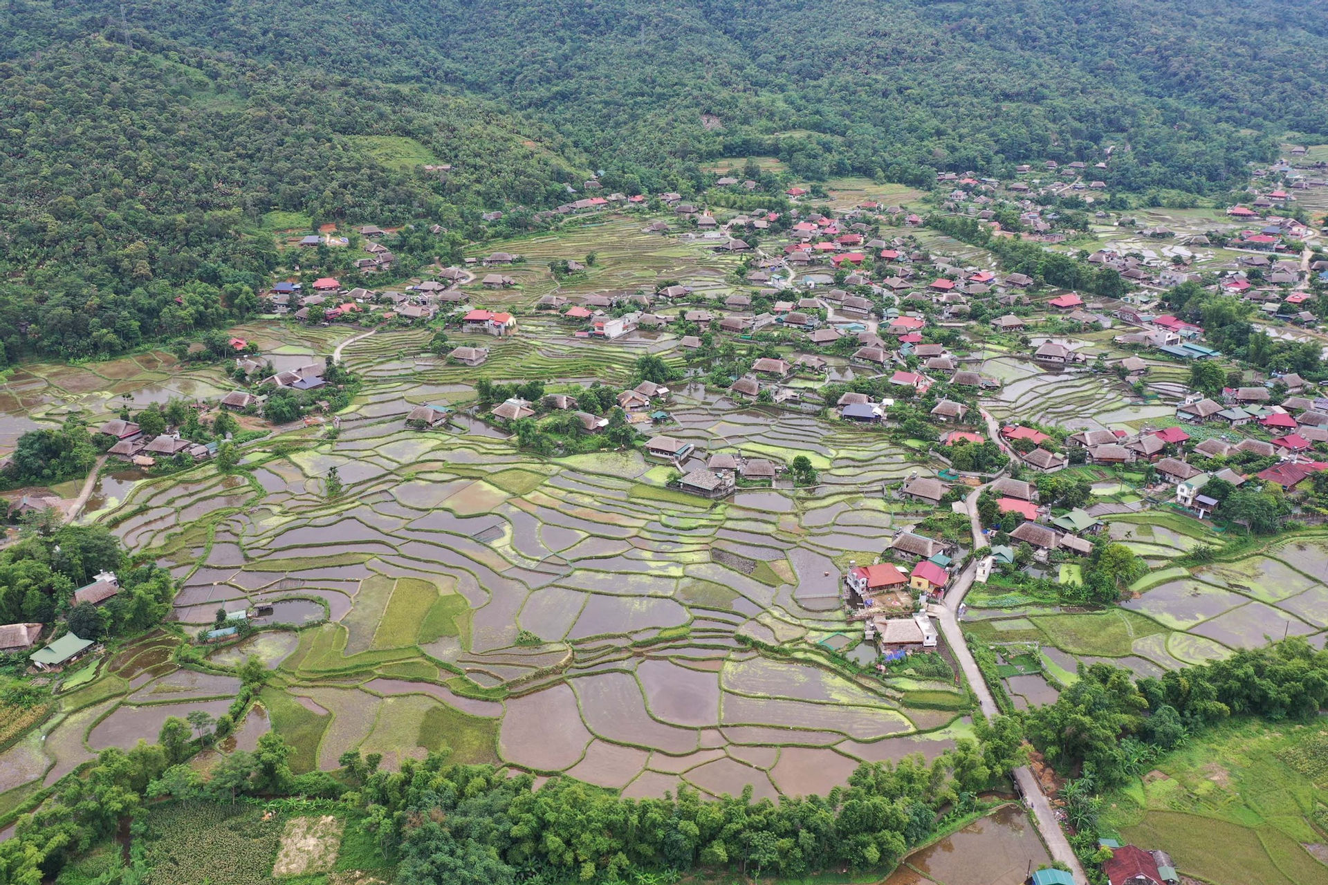 lam-dong.jpg