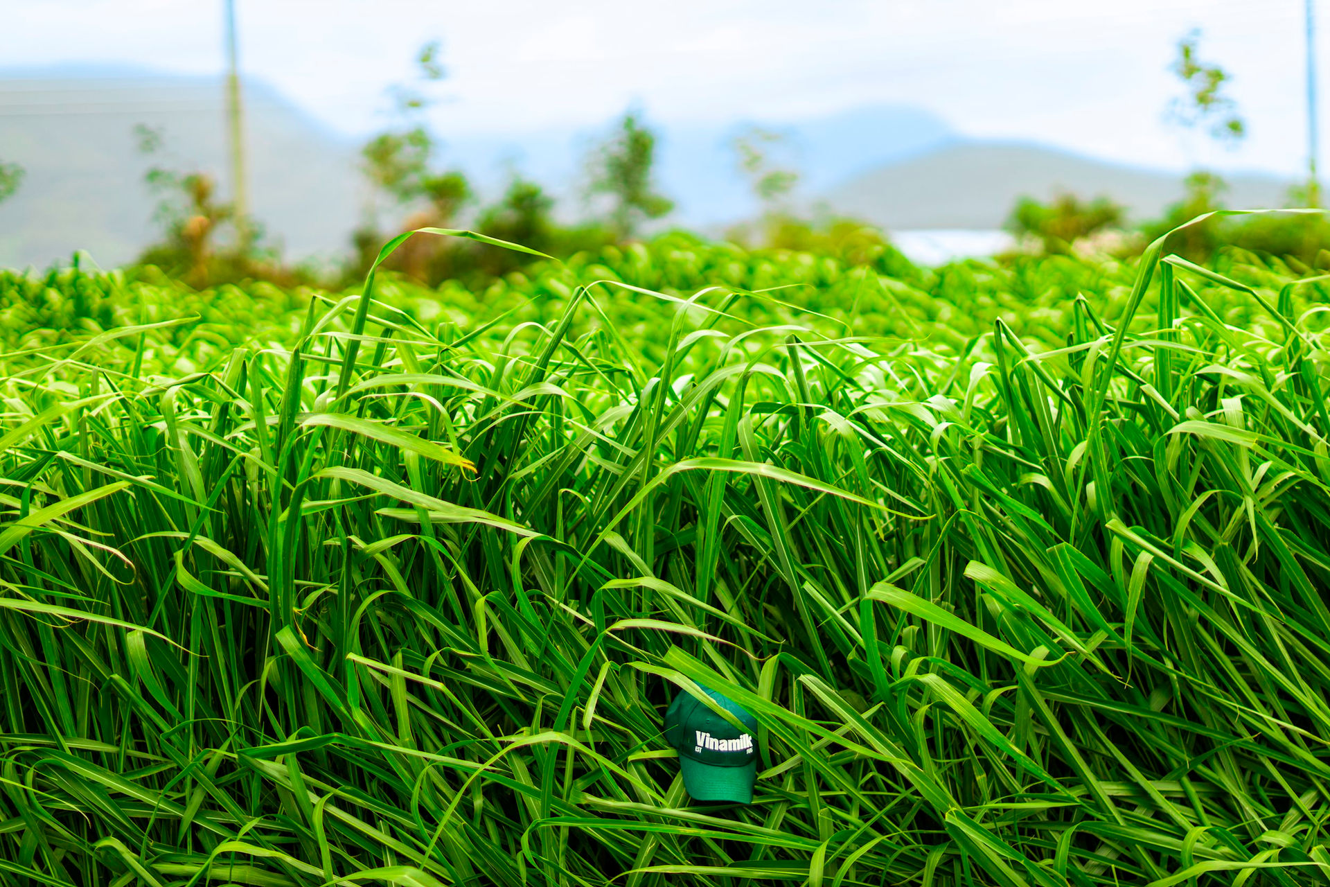 7.farm-tour-vbcsd-07a.jpg