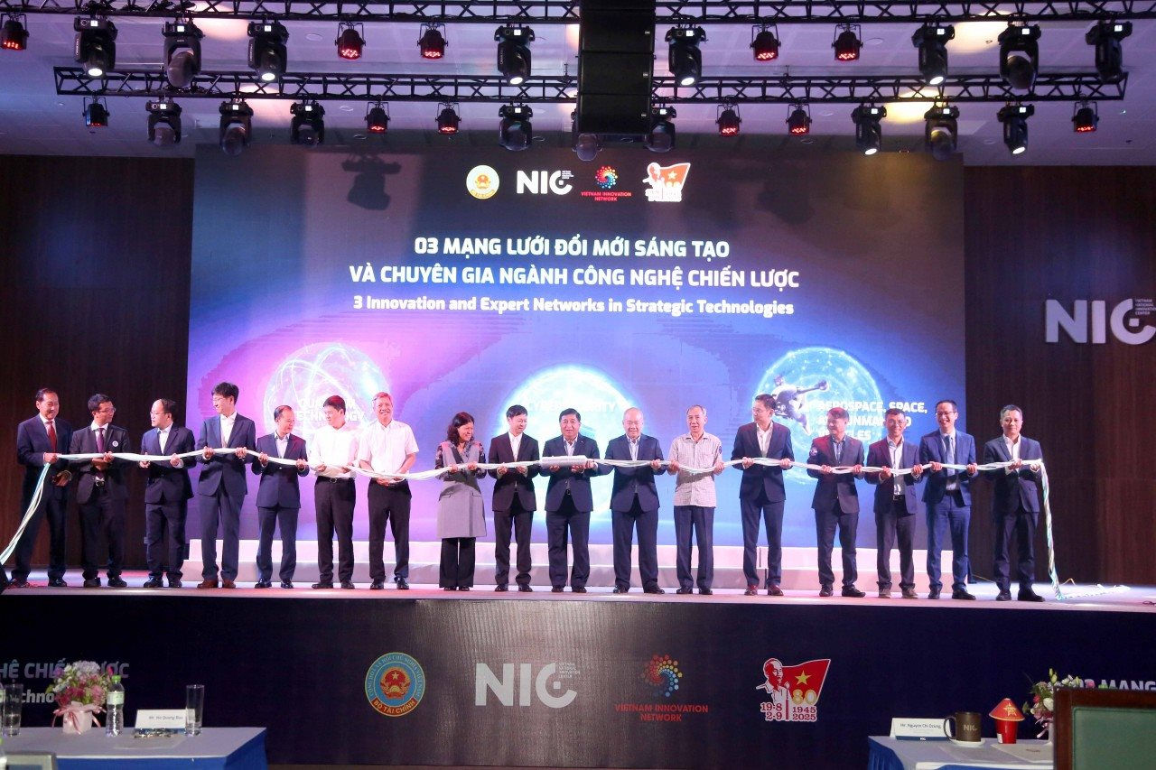 3-mang-luoi.jpg