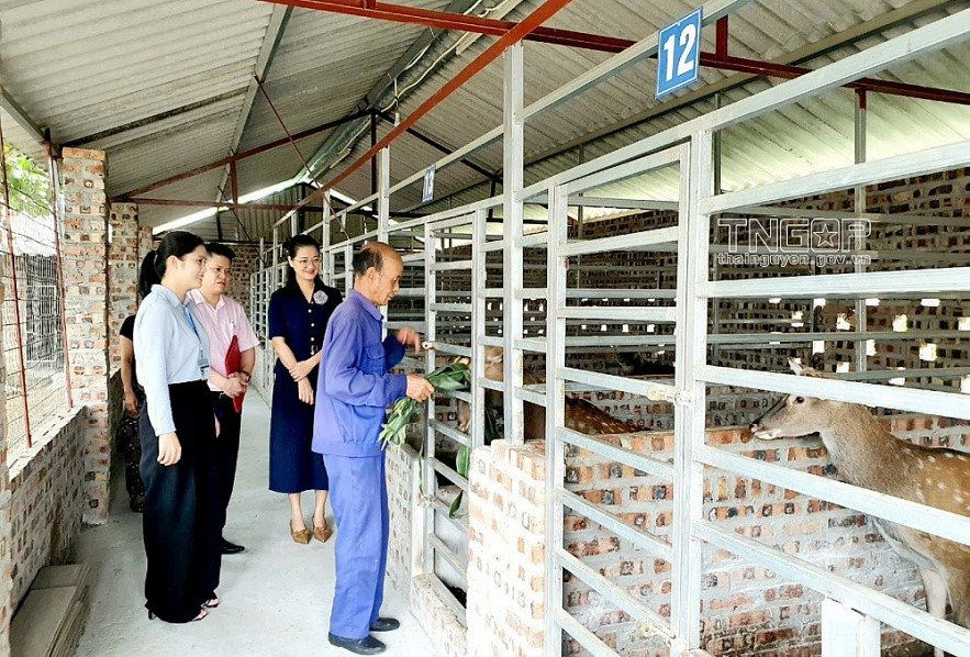 giam-ngheo-1.jpg