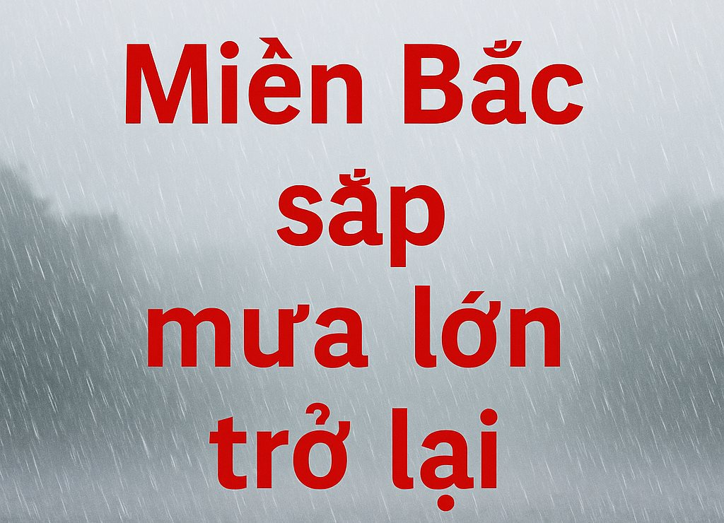 mua-lon(1).png