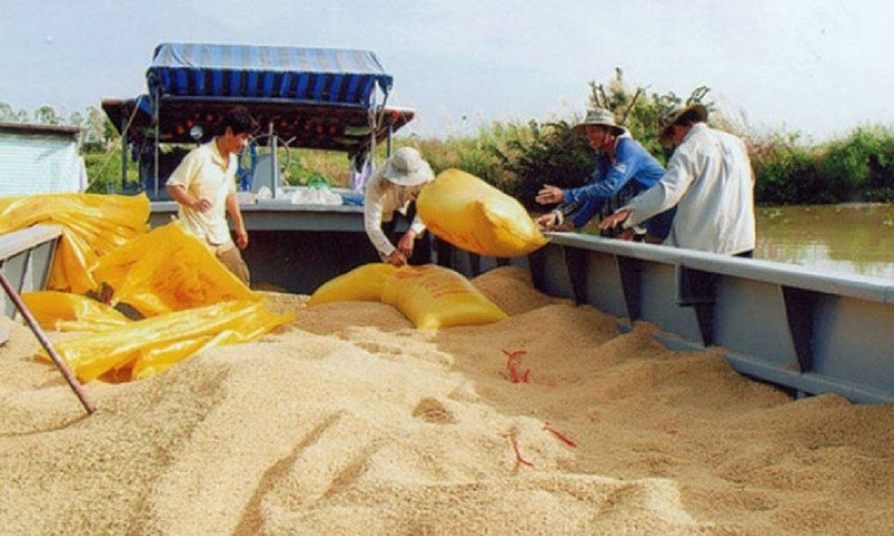 xk-gao.jpg