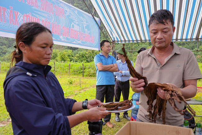 Gắn bảo tồn văn hóa với phát triển sinh kế: Hướng đi bền vững cho vùng đồng bào dân tộc thiểu số - Ảnh 1.