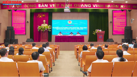 Tọa đàm trao đổi kinh nghiệm kiểm toán việc thực hiện đặt hàng, đấu thầu dịch vụ công/công ích