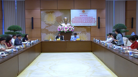 Triển khai giám sát việc thực hiện 3 Chương trình mục tiêu quốc gia