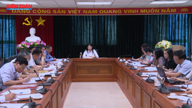 Tiểu ban Tuyên truyền thống nhất công việc và xác định phương án triển khai 