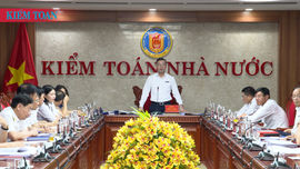 Kỳ họp lần thứ 12, Ban Chấp hành Đảng bộ Kiểm toán nhà nước