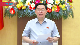 Xem xét 20 nội dung tập trung vào công tác giám sát, lập pháp