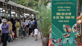 Khai mạc “Tuần hàng quảng bá nông sản Hà Nội và các tỉnh, thành phố năm 2023”