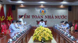 Hướng dẫn tổ chức thực hiện kiểm toán chuyên đề 