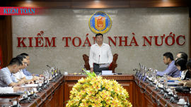 Kiểm toán báo cáo đánh giá tác động môi trường đối với dự án nguồn điện