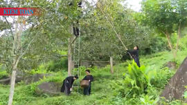 Bản tin Giảm nghèo thông tin số 03