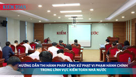 Hướng dẫn thi hành Pháp lệnh xử phạt vi phạm hành chính trong lĩnh vực Kiểm toán nhà nước