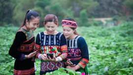 Bản tin Giảm nghèo thông tin số 05