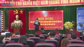 KTNN khu vực XI: Tổ chức thực hiện hiệu quả hoạt động kiểm toán