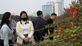 Sôi động thị trường những ngày giáp Tết