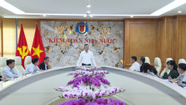 Xây dựng hệ thống Chuẩn mực Kiểm toán nhà nước bao quát hết nội dung, hạn chế tối đa trùng lắp 