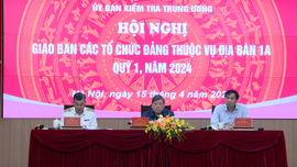 Kiểm tra, giám sát tổ chức đảng có trọng tâm, trọng điểm 