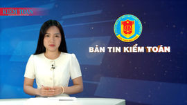 Bản tin truyền hình kiểm toán tháng 8 năm 2024