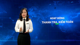 Từ chức năng, nhiệm vụ đến khắc phục chồng chéo trong hoạt động thanh tra, kiểm toán 