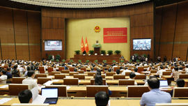 Quán triệt, triển khai Nghị quyết Trung ương 10, khóa XIII