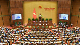  Khai mạc trọng thể kỳ họp thứ 8, Quốc hội khóa XV