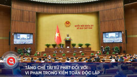 Tăng chế tài xử phạt đối với vi phạm trong kiểm toán độc lập  