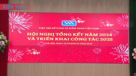 VAA phấn đấu thực hiện hiệu quả nhiệm vụ năm 2025