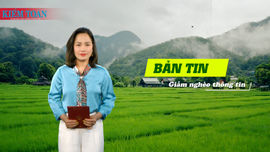 Bản tin truyền hình về giảm nghèo thông tin số 6 năm 2025