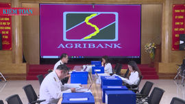 Kiểm toán nhà nước đào tạo, bồi dưỡng chuẩn mực báo cáo tài chính quốc tế toàn diện cho ngân hàng 