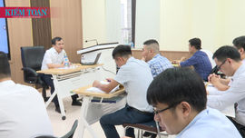 Bồi dưỡng chuyên môn và hướng dẫn sử dụng phần mềm kiểm toán doanh nghiệp