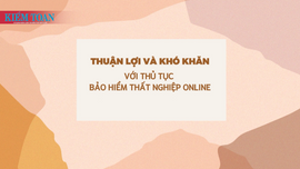 Thuận lợi và khó khăn với thủ tục bảo hiểm thất nghiệp online