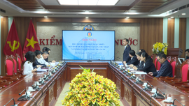 Lựa chọn người xác minh tài sản, thu nhập năm 2026 của Kiểm toán nhà nước