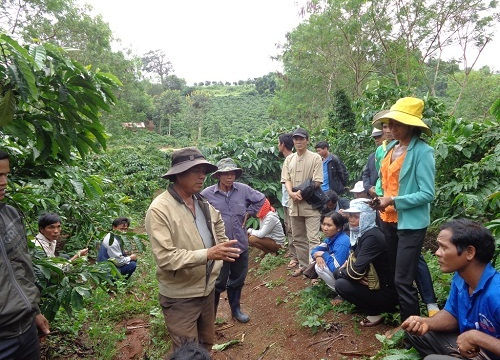 Tạo sự chuyển biến bước đầu trong sản xuất nông nghiệp Tạo sự chuyển biến bước đầu trong sản xuất nông nghiệp