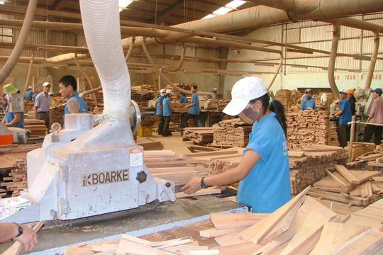 Giải bài toán nguồn cung gỗ nguyên liệu