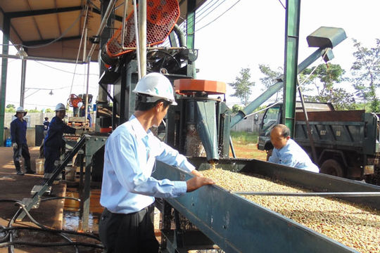 HTX nông nghiệp: Kinh nghiệm quốc tế và bài học cho Việt Nam