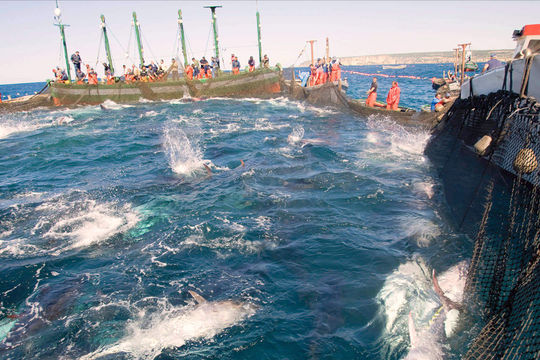 Tầm nhìn chiến lược cho tài nguyên môi trường biển và hải đảo