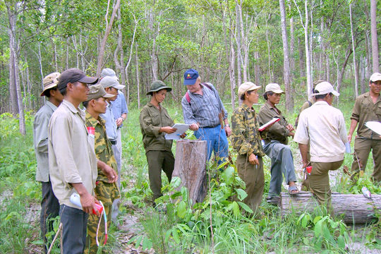 Công tác bảo vệ và phát triển rừng: Những thách thức không nhỏ
