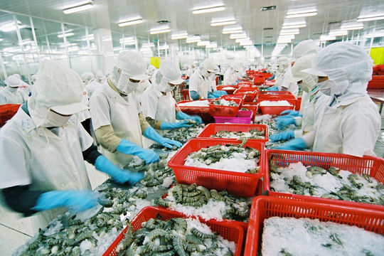 Thủy sản trước hội nhập:  Nhiều triển vọng, lắm gian nan Thủy sản trước hội nhập:  Nhiều triển vọng, lắm gian nan
