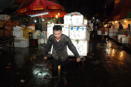 Đêm trắng ở chợ đầu mối Long Biên