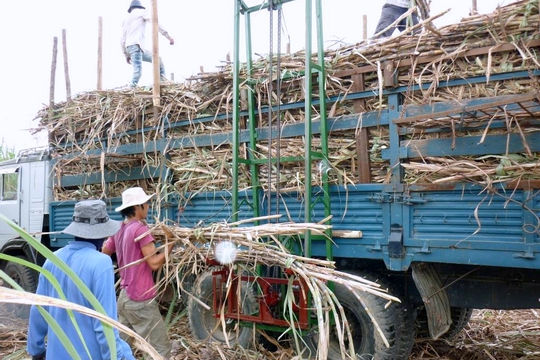 Xây dựng nông thôn mới ở những xã vùng cao: Những tín hiệu vui